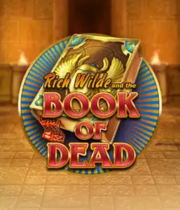 Embark on the thrilling world of Book of Dead Slot by Play'n GO, featuring vivid graphics of Rich Wilde's journey through ancient Egyptian tombs and artifacts. Uncover lost riches with captivating mechanics like free spins, expanding symbols, and a gamble option. Ideal for those seeking adventure with a desire for thrilling discoveries.