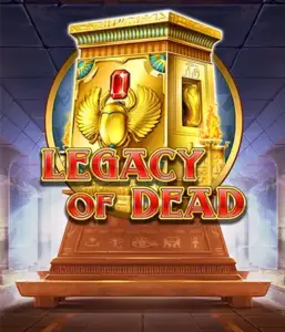 Try  Legacy of Dead slot by Play'n GO featuring complimentary spins and expanding symbols, beginning with $0.10 bets.